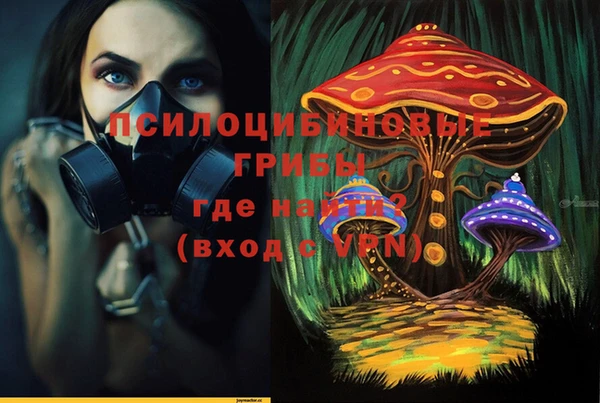 круглые Белокуриха