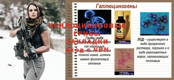 круглые Белокуриха