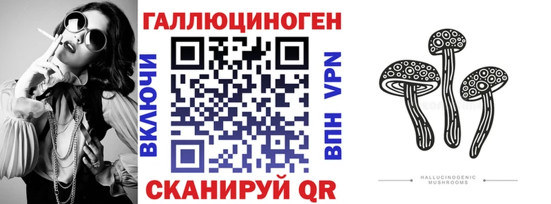 где купить   Высоцк  Галлюциногенные грибы GOLDEN TEACHER 